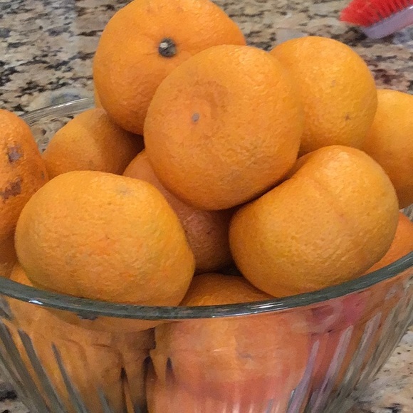 Meet your Posher, Julie - Picture 1 of 1